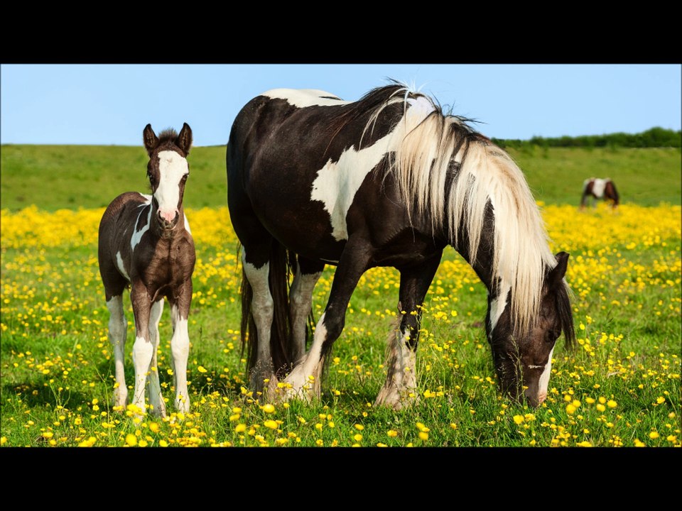 Relaxing And Inspiring Chill Out & Lounge Background Music with HD Wallpapers (1 hour)-6