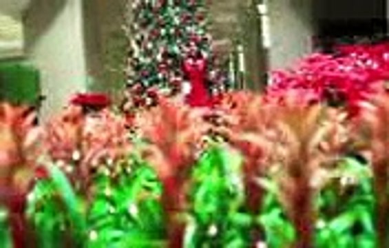 mera yaar shona shona miss pooja