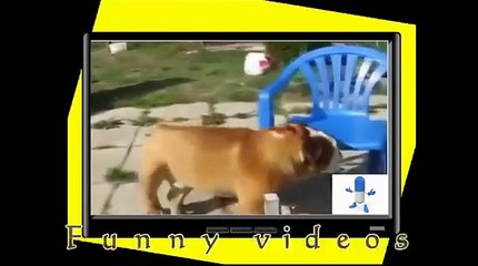 hayatin icinden eglenceli videolar