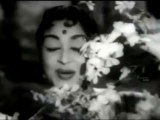 Kuruvi Koottam Pola - MGR, Saroja Devi, Ashokan - Kudumba Thalaivan - Tamil Classic Song