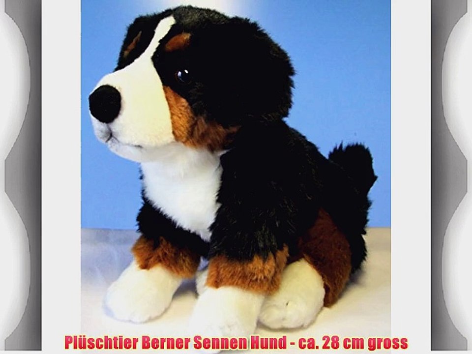 Pl?schtier Berner Sennen Hund - ca. 28 cm gross