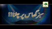Sabz Ghaas Par Chalna - Maulana Ilyas Qadri - Short Bayan