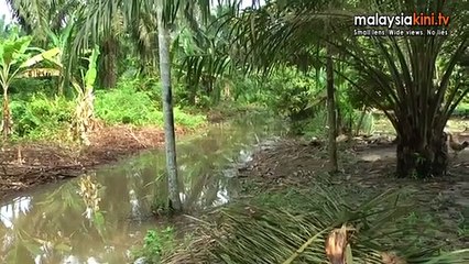 Batin Sidin: "Where is my country ?"