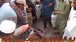 ٹوبہ  ٹیک سنگھ تاجر کی نعش ایک خاتون کے ہمراہ کار سے مردہ حالت میں برآمد