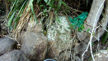 Nas praias de Ubatuba, em busca da vida, da felicidade,  da Natureza, dos mares, ,,,