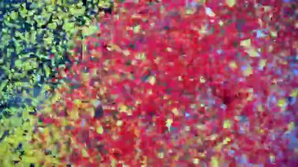 Vidéo 2 Costa Rica : un volcan de pétales explose dans un village