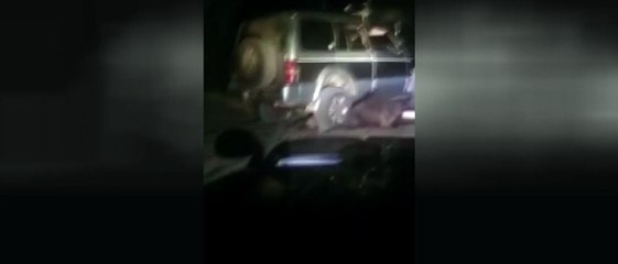 Rusya'da ayıya akıl almaz işkence!