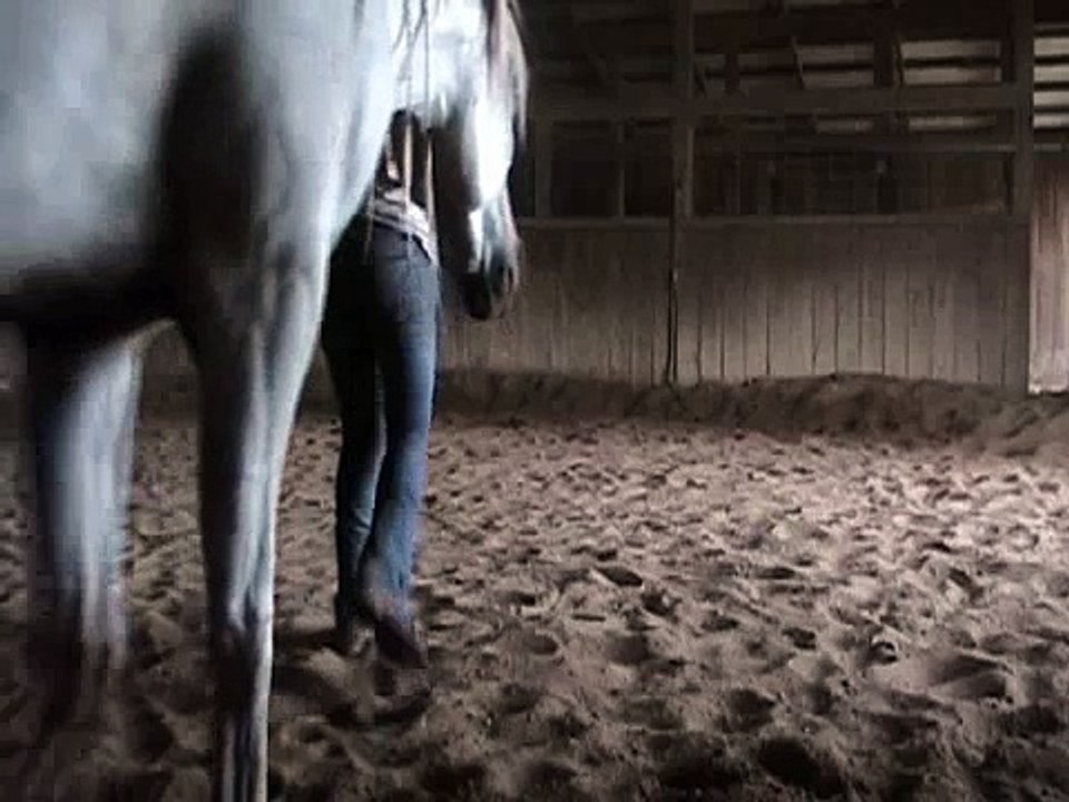 A horse and her girl