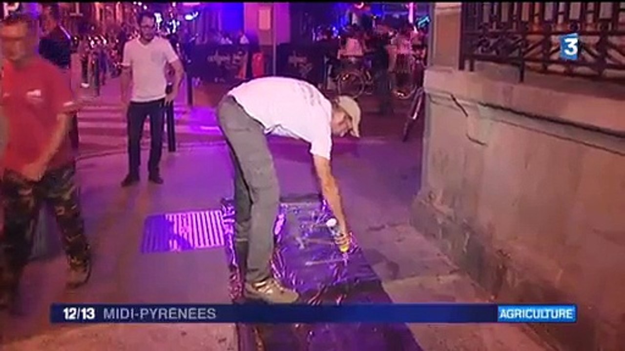 Pro-barrages de Sivens a Tolosa 20/08/15