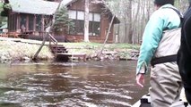Michigan Steelhead Fly fishing