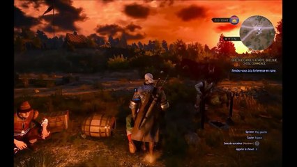 Witcher 3 - Fin du jeu (Spoiler inside)