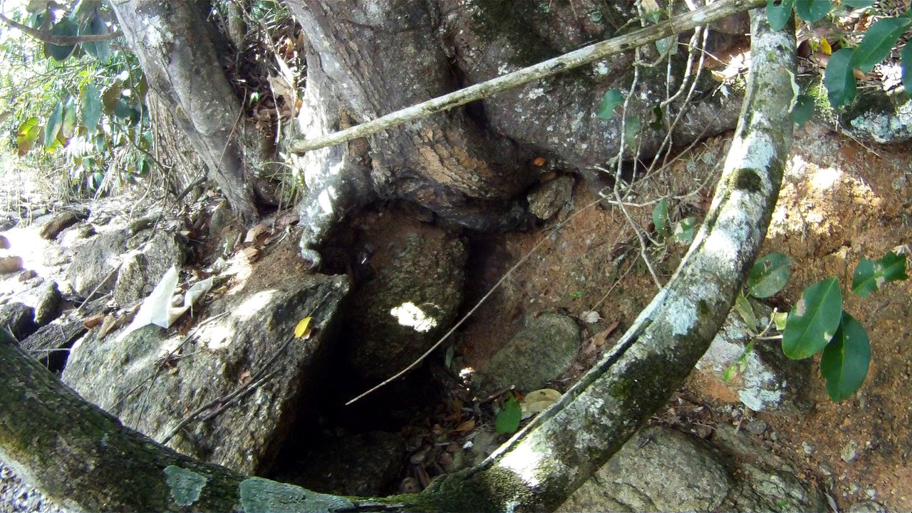 Nas praias de Ubatuba, em busca da vida, da felicidade,  da Natureza, dos mares, ,,,