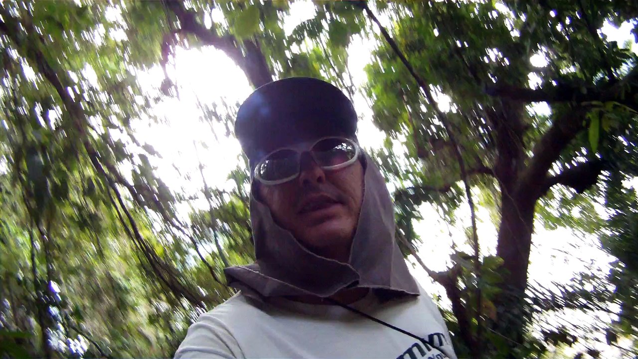 Nas praias de Ubatuba, em busca da vida, da felicidade,  da Natureza, dos mares, ,,,