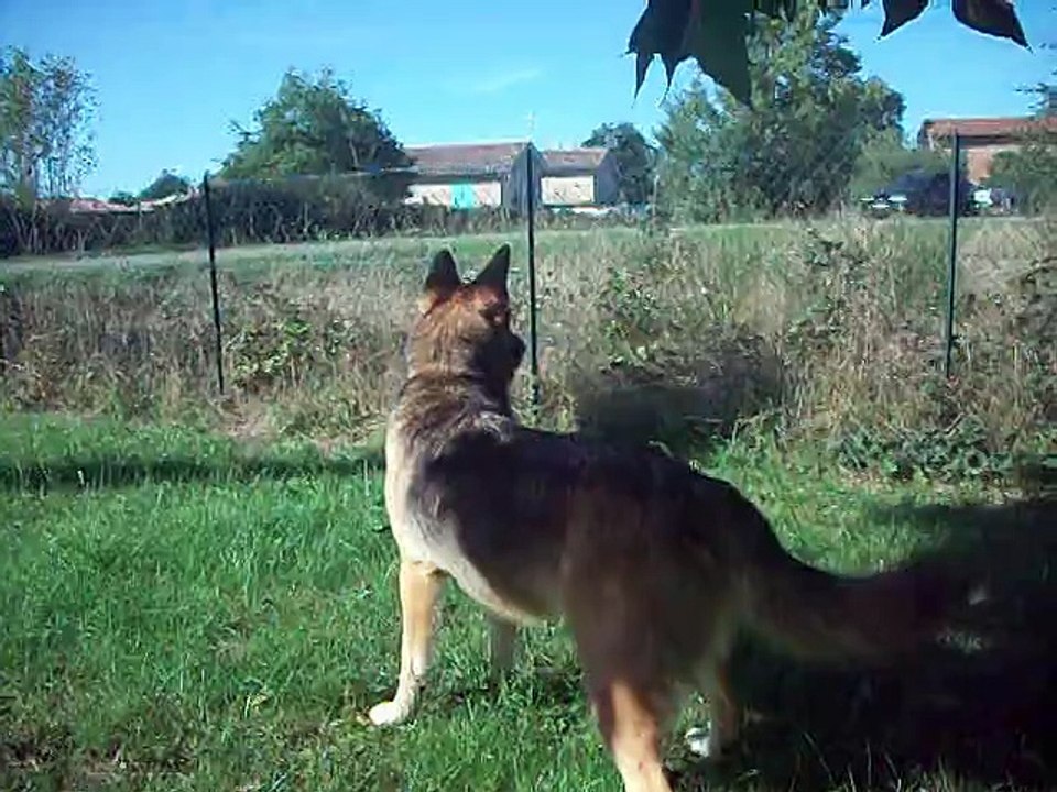 DSCF6668    rose noelle momas