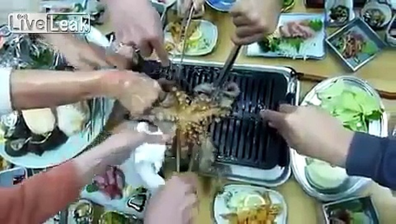 Eating Live Octopus---Cooking Live Octopus in Korea----Would You Eat a Live Octopus?