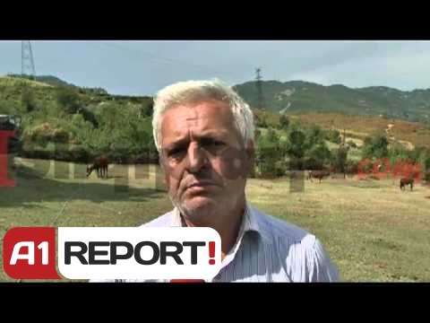 Tiranë, 18 vjeçarja vret me armë persekutorin 45 vjeçar