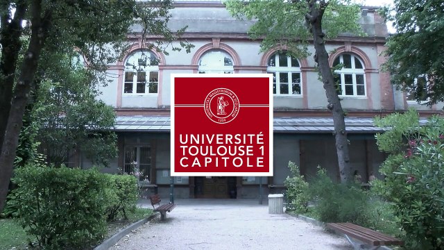 Les méthodes d'analyse du droit administratif et du droit constitutionnel français sont-elles adaptées à la fonction qu'on leur assigne ? , Régis Ponsard, Maître de conférences à l'Université de Reims Champagne Ardenne