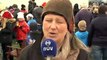 Icelandic cows love spring :) Icelandic news / Funny video