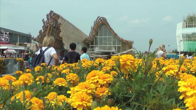 Le Gabon à Milan un reportage de Valerio Truffa