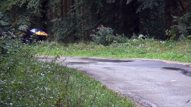 Rallye du Sel 2015 - Fabien Darbonnat et Benjamin Elet