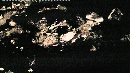 GRUAJA E MASAKRUAR NE QAFE THANE.mpg