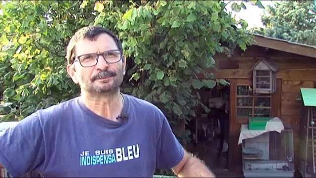 Plus de 13 000 chauves-souris en Indre-et-Loire