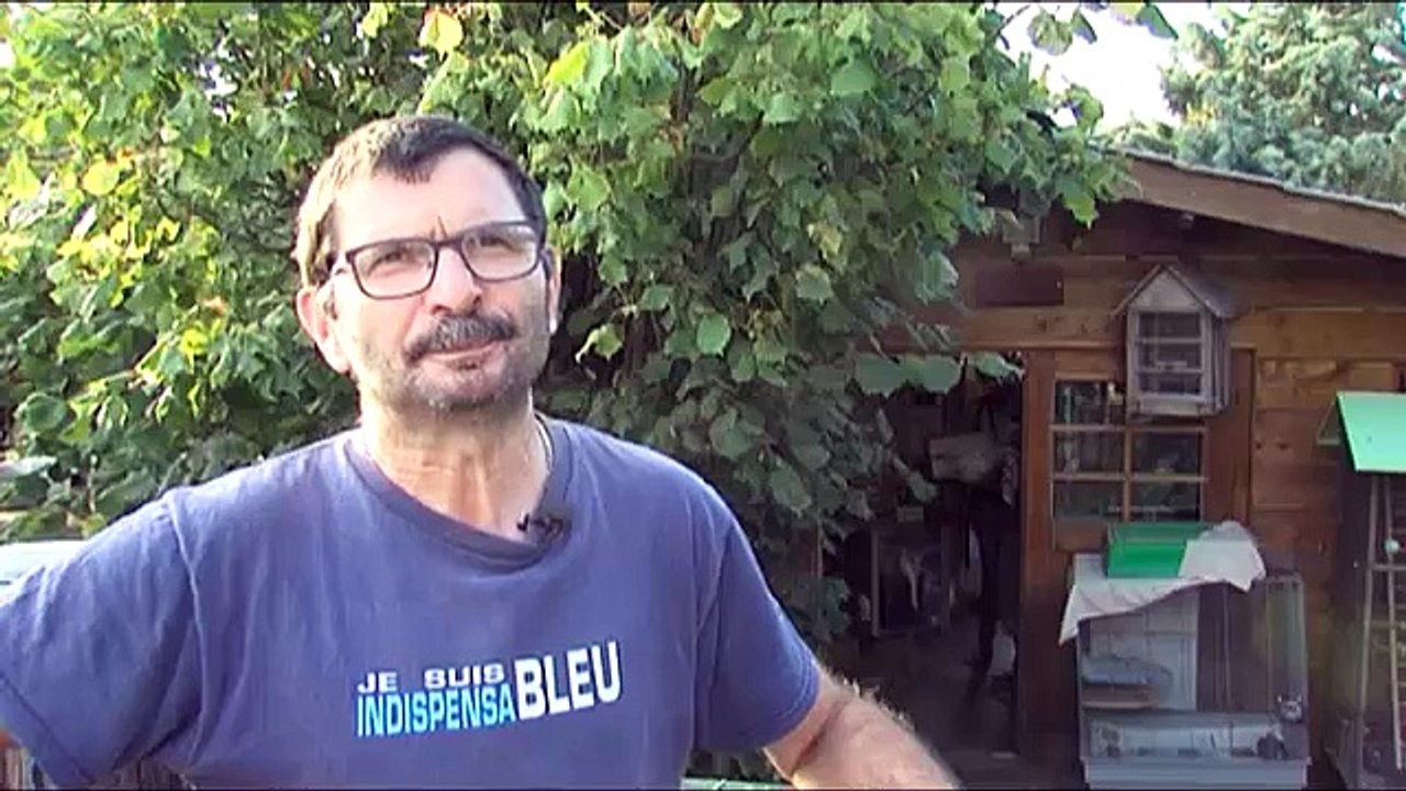 Plus de 13 000 chauves-souris en Indre-et-Loire