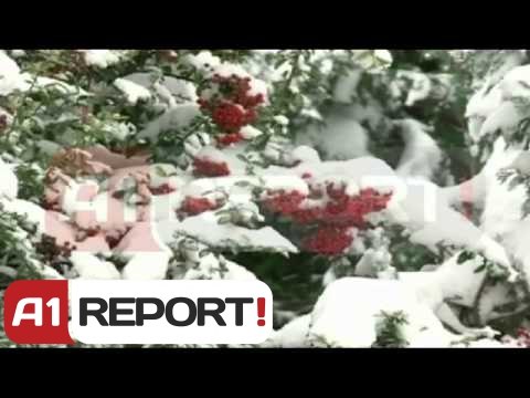 Evropë, reshjet e dëborës bllokojnë aeroportet dhe akset rrugore