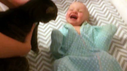 This Baby Can t Get Enough Of Her Pet Cat