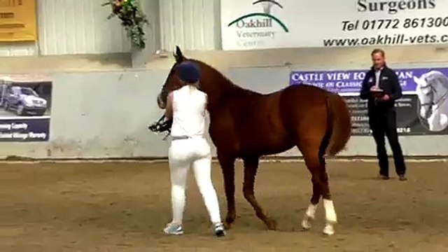 Jackson ELS (Colt) For Sale