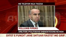 Pipero flet në A1Report për 