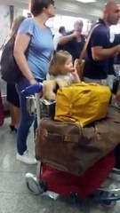 حصري فيديو جديد تشدو بالكمشة أو هوما يسرقوا في سيكان المهاجرين بمطار تونس