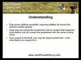 Jack Russell Terrier Training: Why Should You Not Punish Your Dog