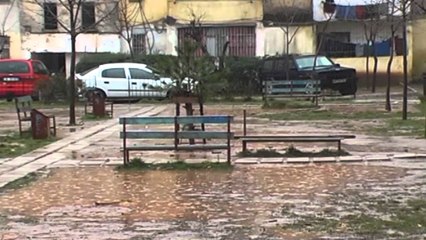 Kukws, demtohet gjelberimi i qytetit