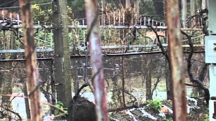 Situata e permbytjeve ne Lezhe