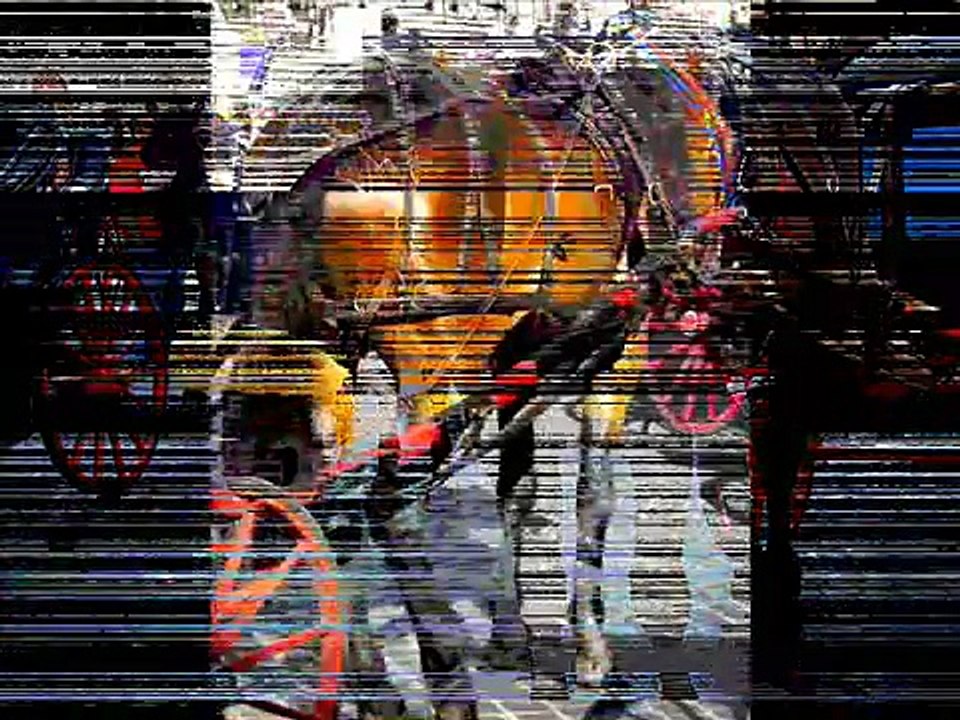 VIDEO OIPA BOTTICELLE