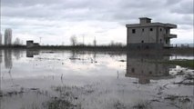 Përmbytjet në Lezhë, 1300 Ha tokë vijojnë të jenë nën ujë