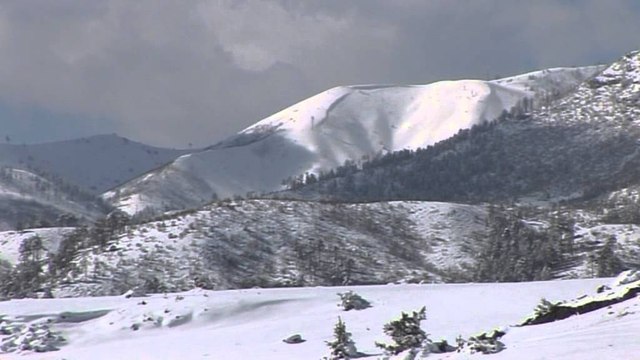 Nderpriten rreshjet ne Kukes