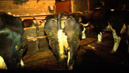 Shkoder, gjendja e keqe e fermereve