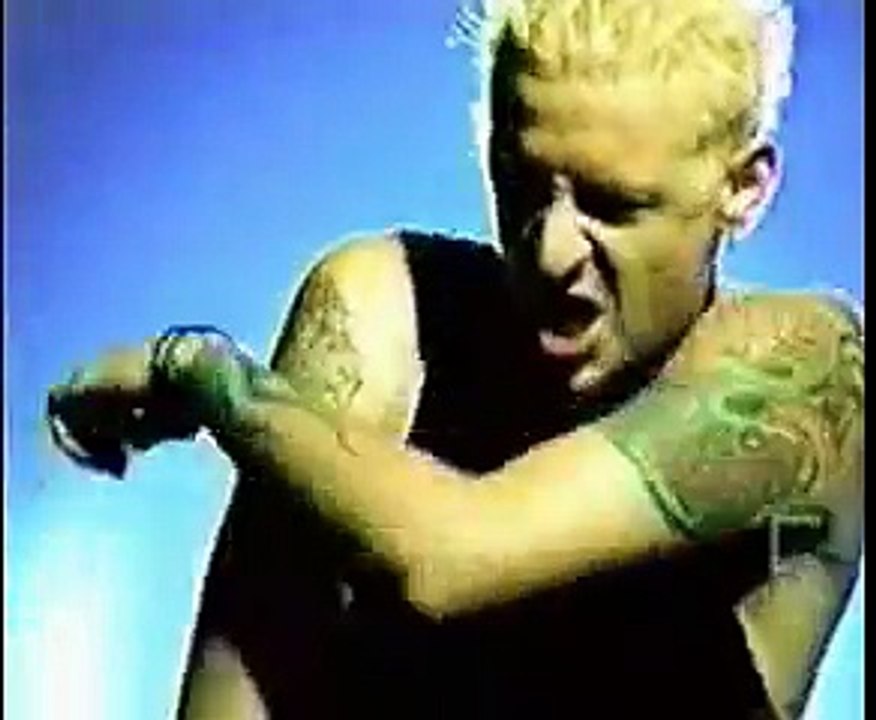 LINKIN PARK LIMP BIZKIT KORN and MARIO BROSS