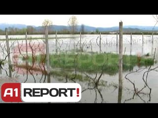 Shkodër, 6000 ha tokë nën ujë Oboti në gjendje emergjence