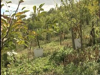 Dokumentar - Kushtuar Dëshmorit Dashmir Krasniqi-DASHI