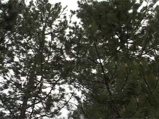 Dokumentar - Kushtuar Dëshmorit Asllan Dinaj 2008