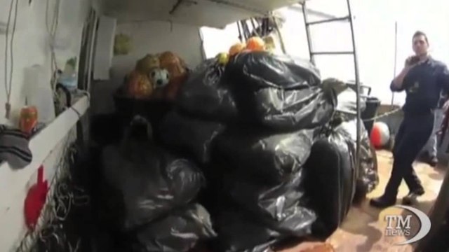 Sekuestrohet 730 kg marijuanë në Itali, dyshohet se vinte nga Shqipëria