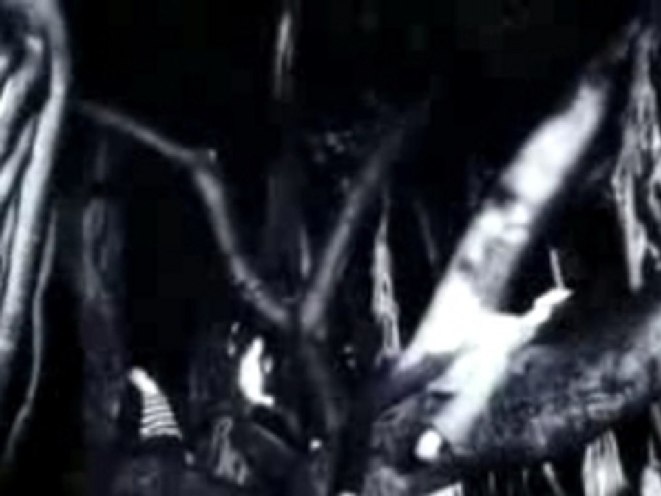 Dirty South Vs Evermore - Its Too Late