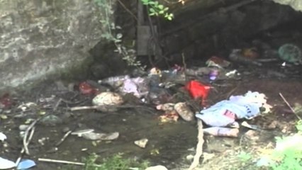 15 raste me malarie, ISHP merr masa të menjëhershme