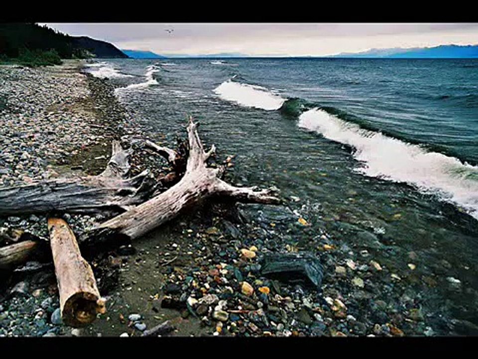 Sokolov - Bach-Brahms Chaconne for the left hand alone.wmv