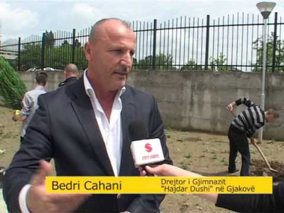 Lajme - Mbjellja e Pishave në Gjimnazin Hajdar Dushi