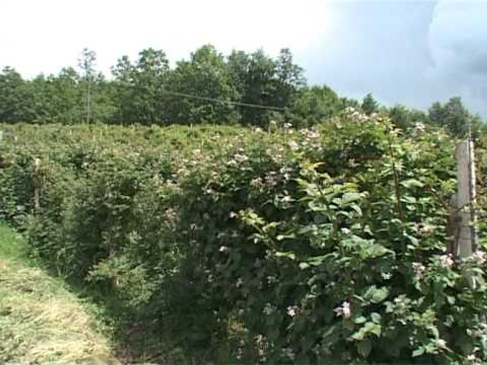 Lajme - Fermerja e suksesshme