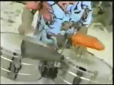 Salsa - A Donde Iras Sin Mi - Puerto Rican Power